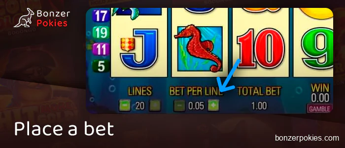 Set the bet amount in Dolphin Treasure pokie