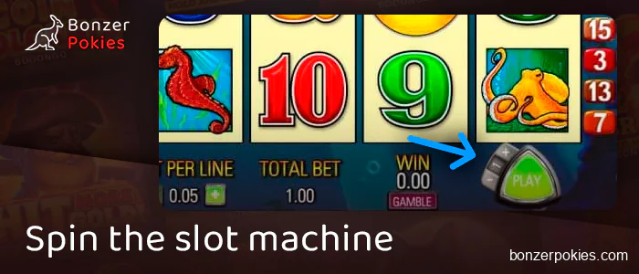 Click on the spin button in Dolphin Treasure pokie