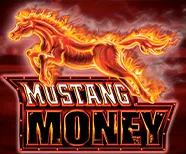 Mustang Money