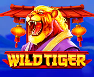 Wild Tiger