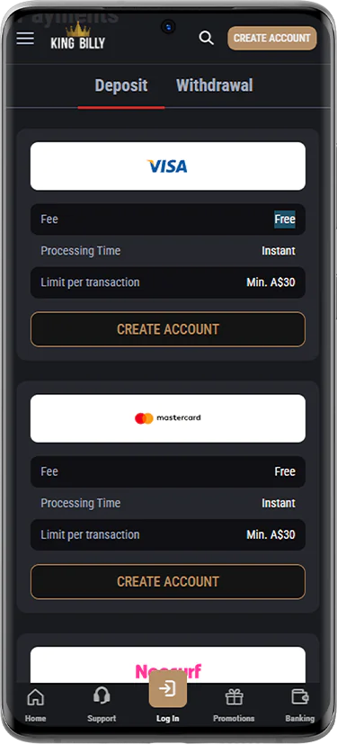 Screenshot of payment systems on King Billy Casino website