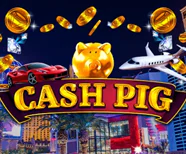 Cash Pig