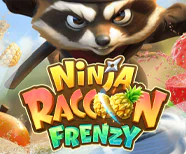 Ninja Raccoon Frenzy