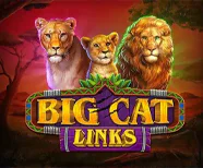 Big Cat Links