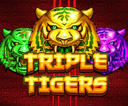 Triple Tigers