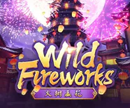 Wild Fireworks